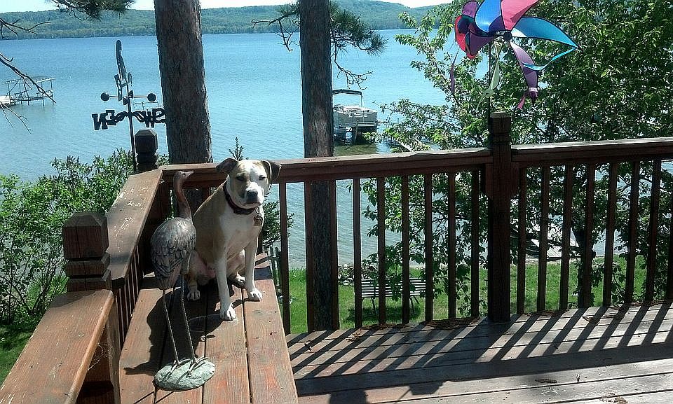 deck view Platte Lake