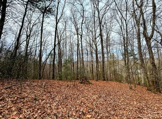 11 Rhododendron Dr, Saluda, NC 28773