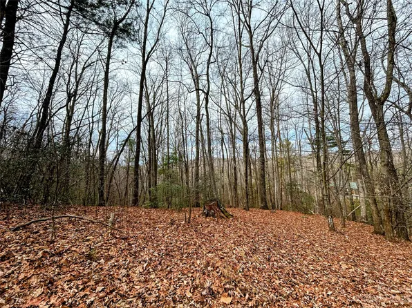 11 Rhododendron Dr, Saluda, NC 28773