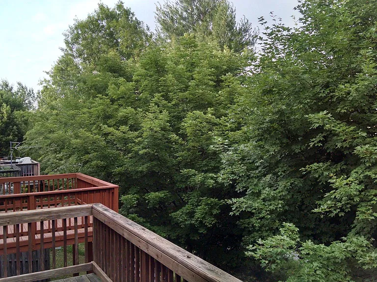 10853 Sherwood Hill Rd — Photo 12