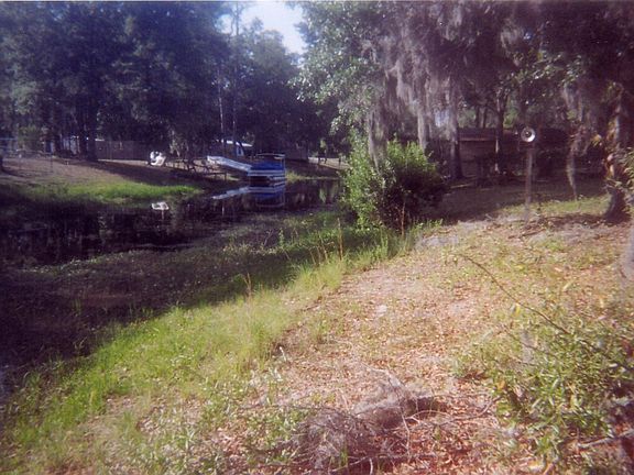 Back Yard, by the canal that leads to the lake