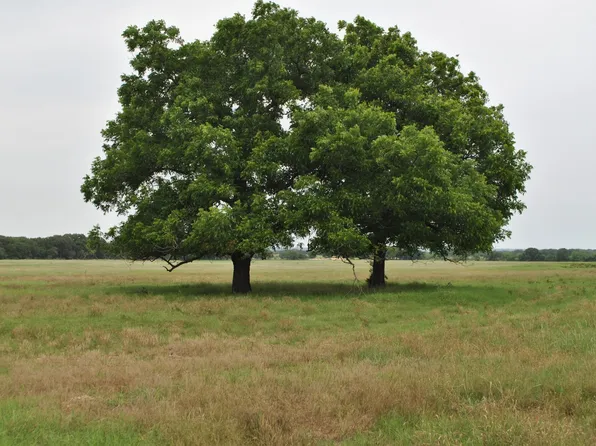 County Road 129, Rising Star, TX 76471