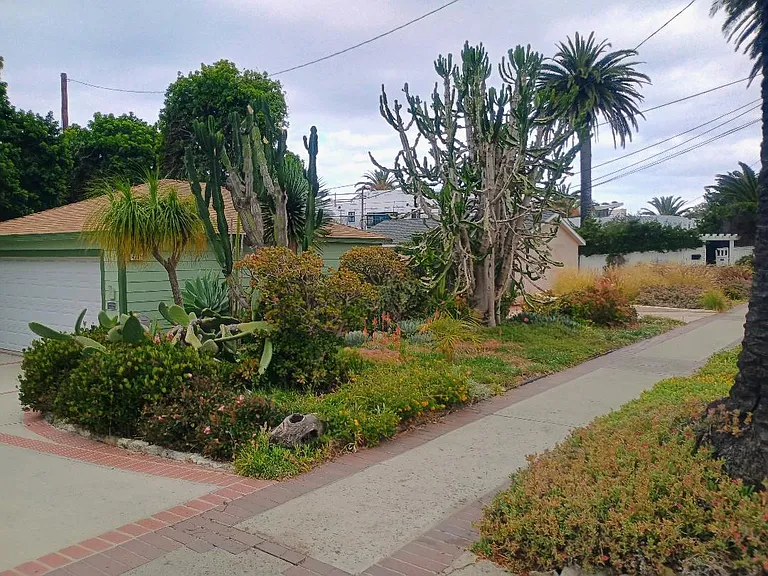 Sidewalk Garden