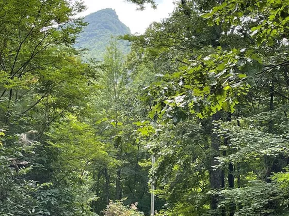 Lot 13 Golf View Road, Sapphire, NC 28774