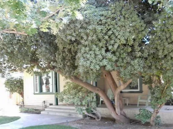 1825 Verde St #A, Bakersfield, CA 93304