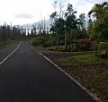 5th image of Ginger Ln Lot 23
