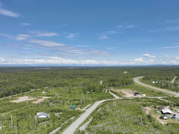 47989 S Yancey Dr, Talkeetna, AK 99676