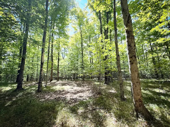 Cornell Hollow Rd Lot Wp001, Endicott, NY 13760