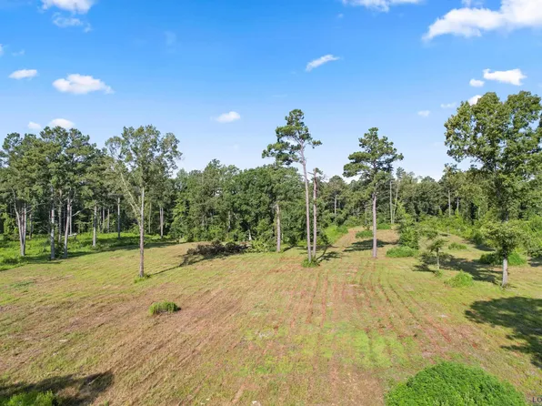 7355 Clematis Rd, Gilmer, TX 75644