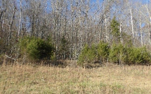 4th image of 0 Cheyenne Dr Lot 46