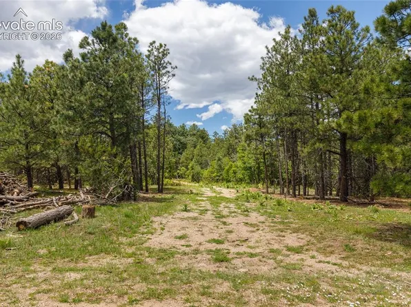 8719 Ponderosa Pine Dr, Beulah, CO 81023