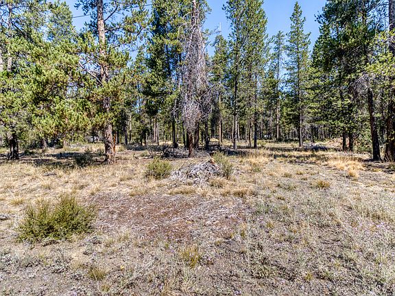 3rd image of 16212 Green Forest Rd