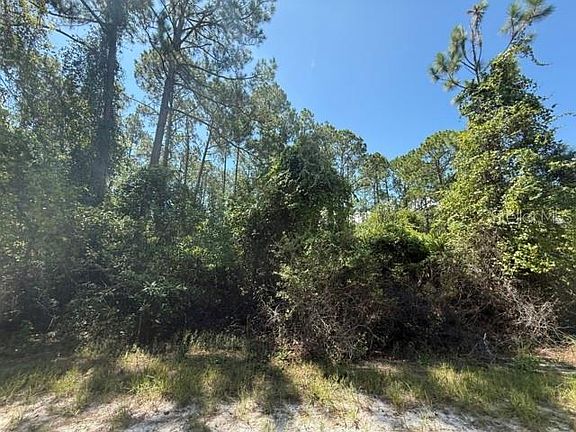 4th image of 337 PALM WAY LOT 2