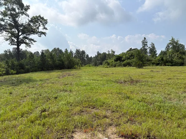 Dexter Centerville Rd W, Tylertown, MS 39667