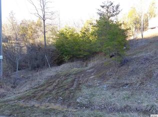 7678 Hollow Springs Way LOT 76-78, White Pine, TN 37890
