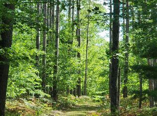 0 Kirche In The Woods Dr, Spruce, MI 48762