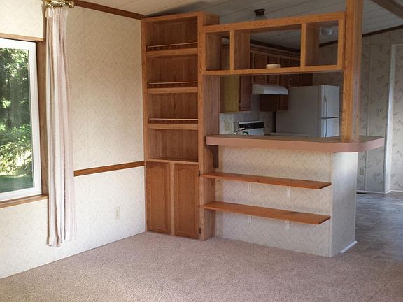 Beautiful cedar trees in backyard