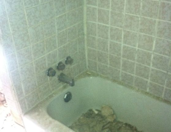 2nd image of 436 W Penn St