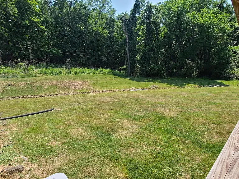 Back porch view