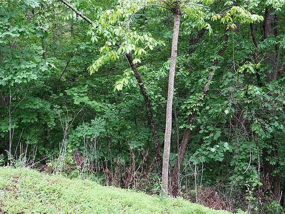 5th image of 0 Quail Mountain Trl #290
