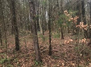 105 Spring Run Dr LOT 134, Mooresville, NC 28117