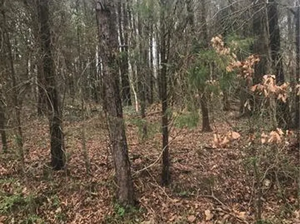 105 Spring Run Dr Lot 134, Mooresville, NC 28117