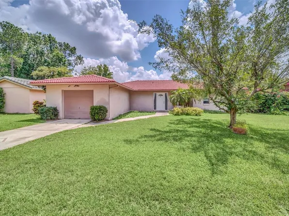 10533 Deergrass Ln, Orlando, FL 32821