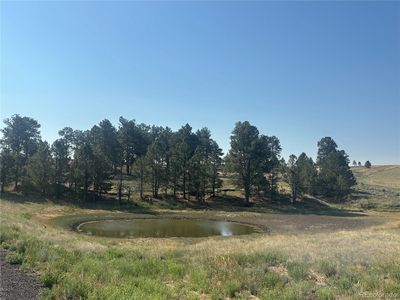 32147 Waylongood Point, Kiowa, CO, 80117