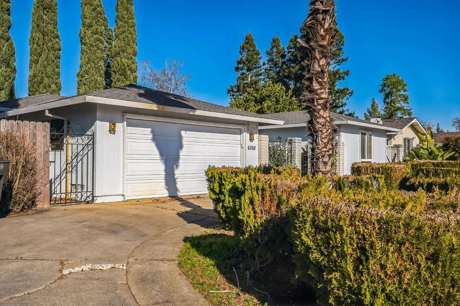 6768 Frates Way photo 1