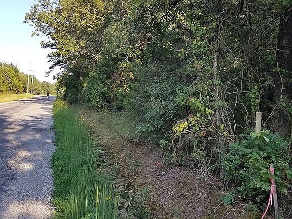 4th image of 140 Blue Bonnet Ln