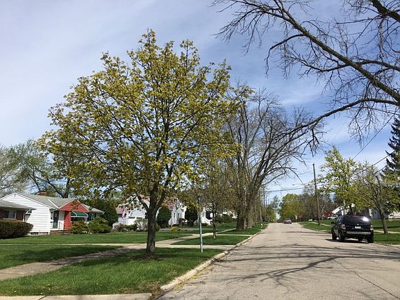 4th image of 884 High St
