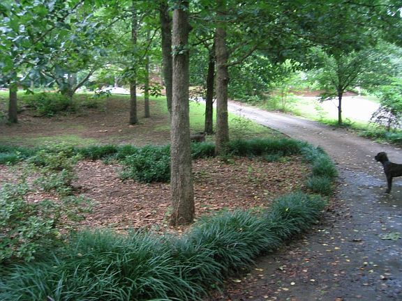Driveway