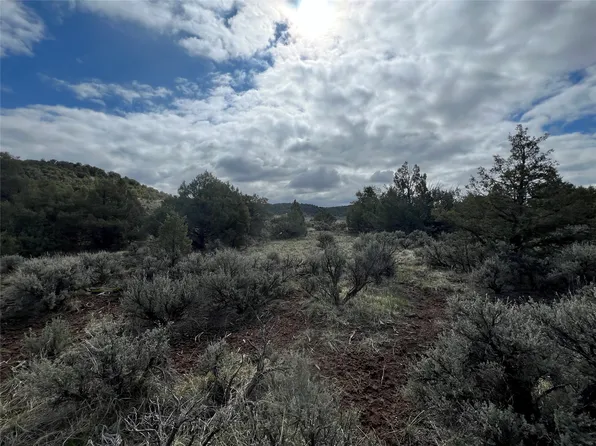 Martingale Ln, Tierra Amarilla, NM 87575