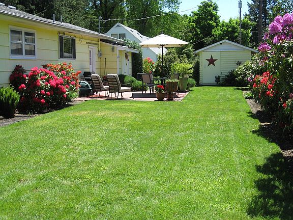 Back yard in May 2008