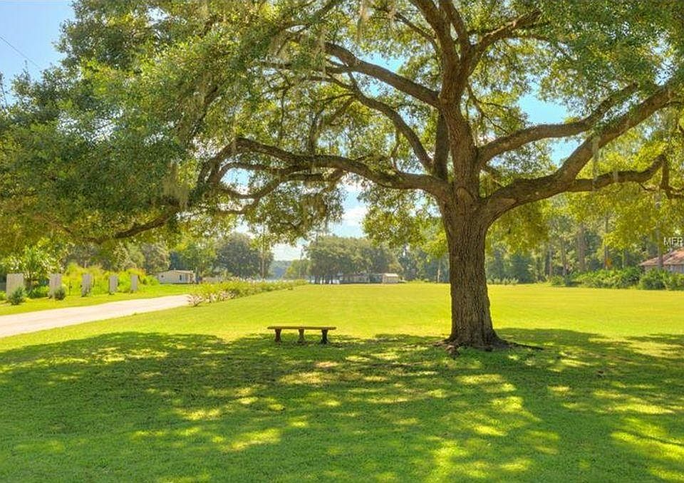 8 Acre View -Lake at Far End