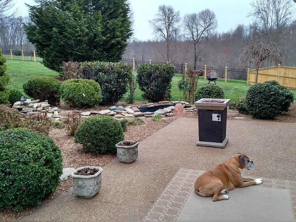 2nd image of 1003 Wilkinson Pl