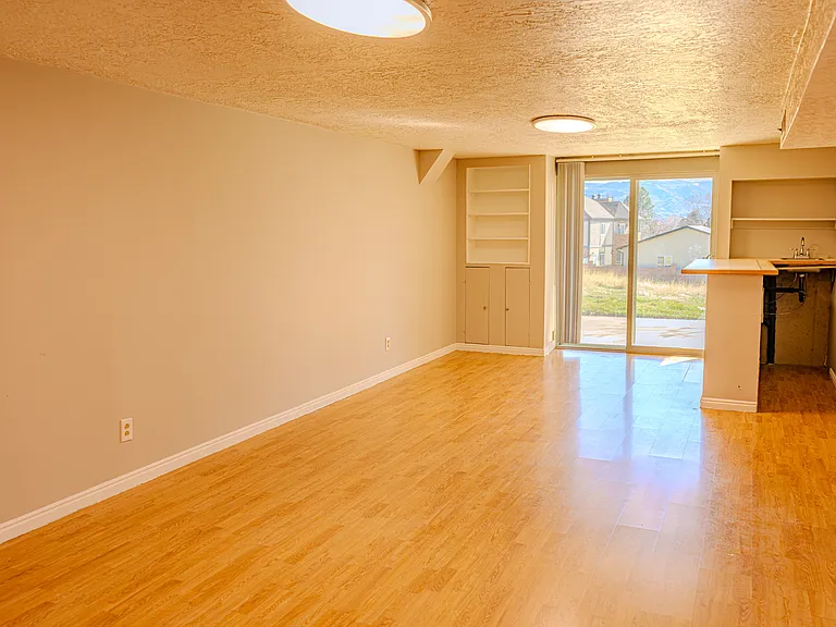 Downstairs living room with functional wet bar