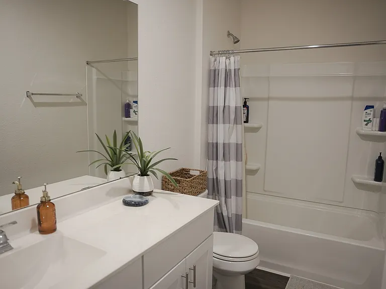10810 Parra Peek Dr — Photo 5