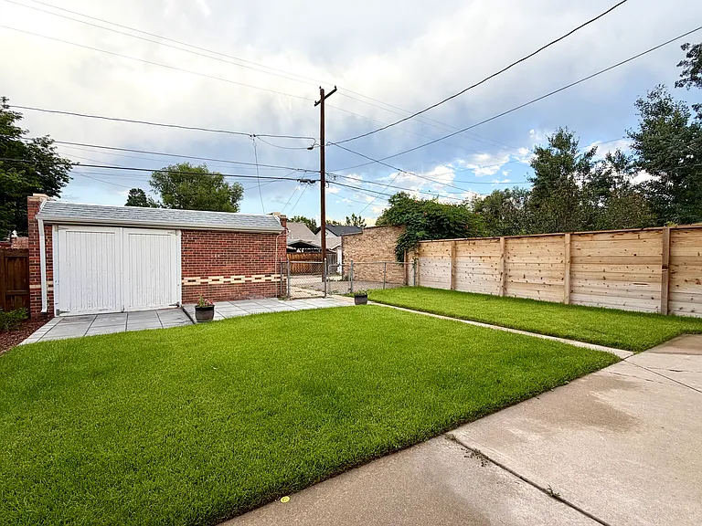 back yard
