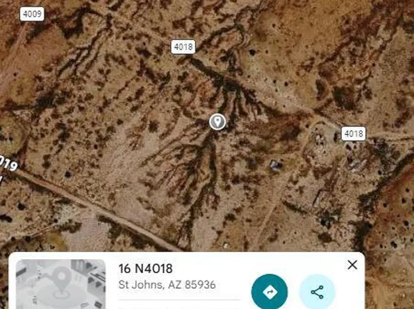 41 N4009 St, Saint Johns, AZ 85936