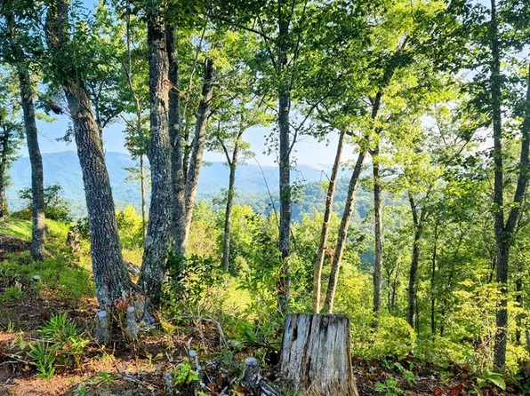 12 Owen Way, Whittier, NC 28789