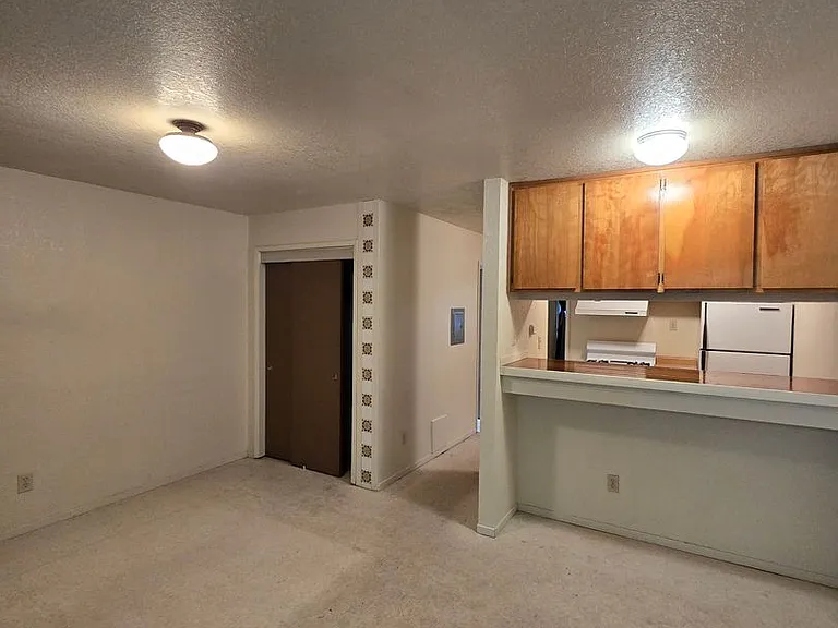 515 Arleen St — Photo 4