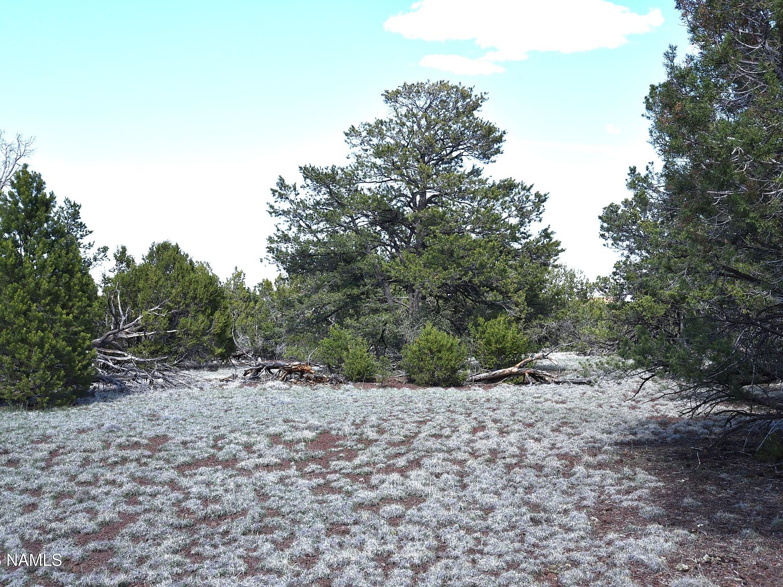 20203017 Griffin Rd, Williams AZ - Owner Finance Home