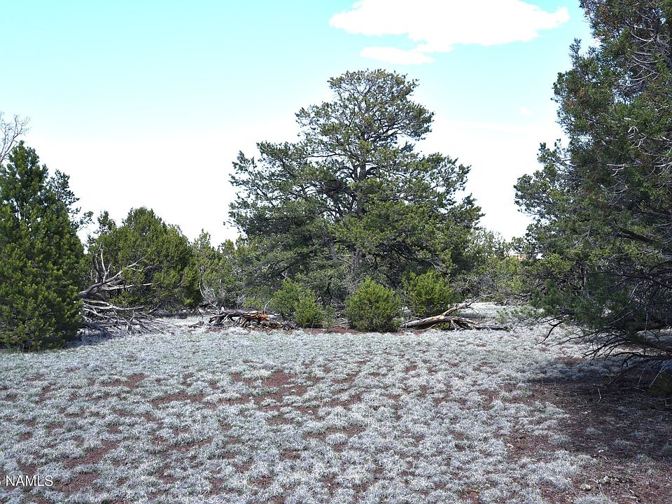 1st image of 20203017 Griffin Rd