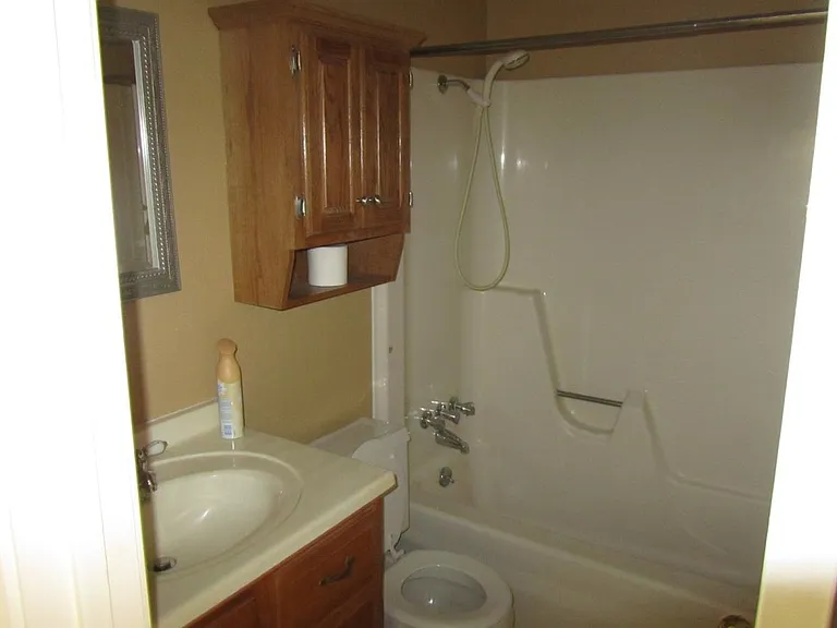 Hallway Bathroom
