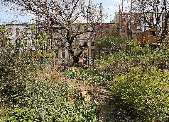 2nd image of 531 11th St