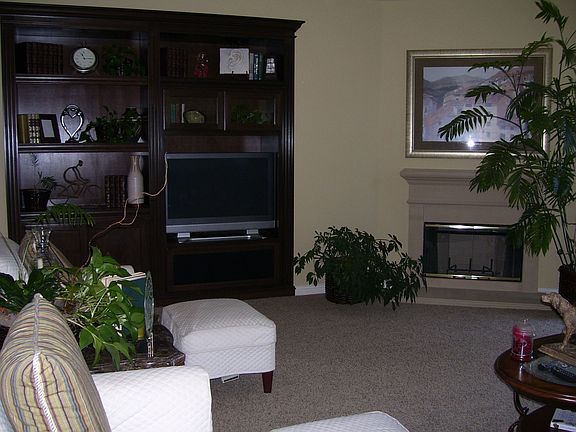 Faimily Room w/Built in Media Niche and Fireplace