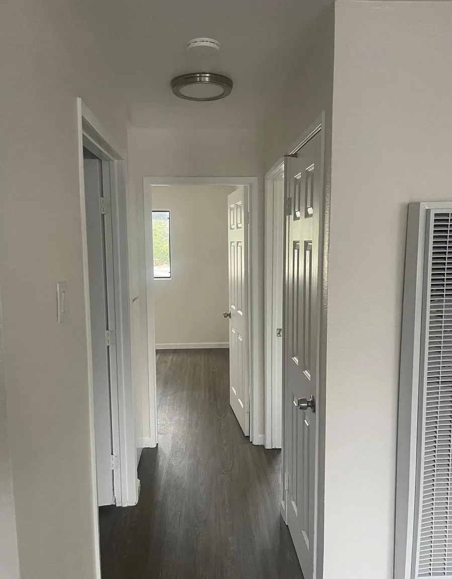 2 bed, 905 sqft, $2,395 — Photo 1