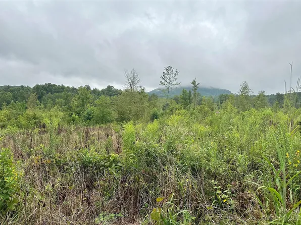 0 Dysartsville Rd, Nebo, NC 28761