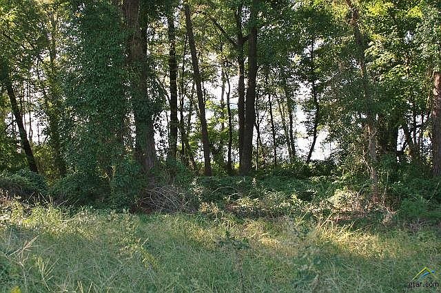 1st image of 9 County Road 3504